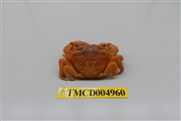 藏品(平背蜞)的圖片